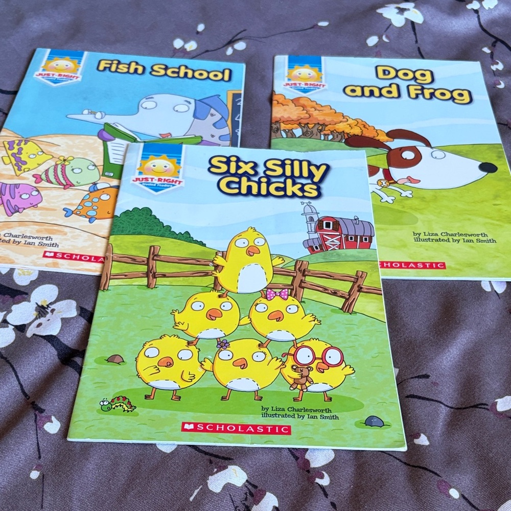 Scholastic young reader book bundle